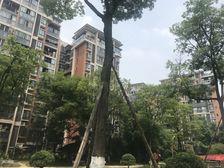 心愿花园二期1室1厅西