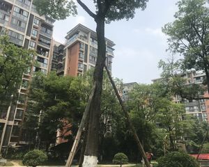 心愿花园二期1室1厅南