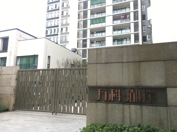 万科湖岸实景图