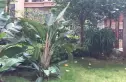 百捷中央名门实景图