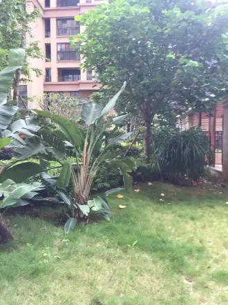 百捷中央名门实景图