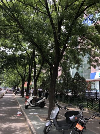 知春路13号院实景图