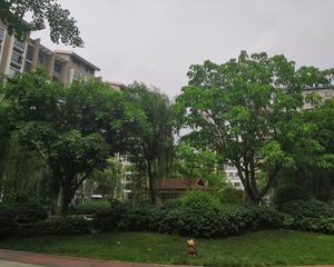 成都国韵村5室2厅东南