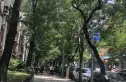 月坛北小街5号院实景图