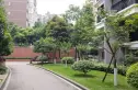 蓉城胜景实景图