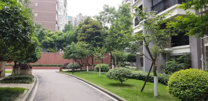 蓉城胜景实景图