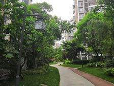 成都国韵村5室1厅南