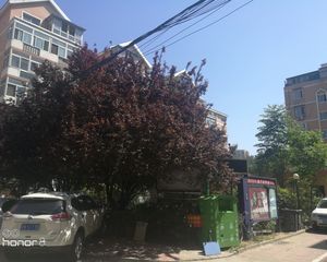 双地铁大红门站01年建成板楼南北大复式经典户型诚售