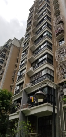 蓉城胜景实景图