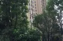 百捷中央名门实景图