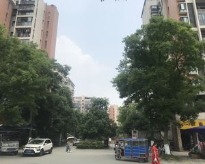 心愿花园二期 1室1厅 南