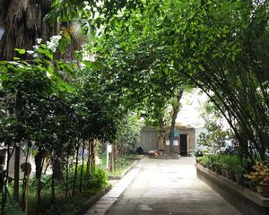 西安北路27号2室1厅南北