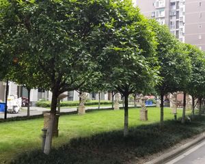 金座蓉城胜景3室1厅东南
