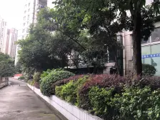 环线陈家坪轻轨50米 朝南 方正3室带外阳台