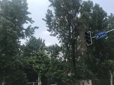 心愿花园一期1室1厅东西