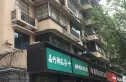 新鸿南一巷35号院实景图
