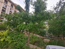 保利花园2室2厅南北