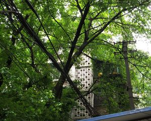西安北路27号2室1厅东南