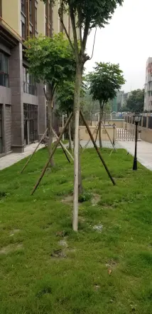 正昌幸福岭实景图