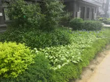 高新园区精装三室两卫全明户型房主自住保持干净