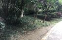 布坝子街10号院实景图