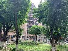 九龙坡二郎附近 大的菜市场