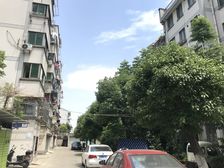 流虹新村南区顶楼复式阁楼单开门总面积187平
