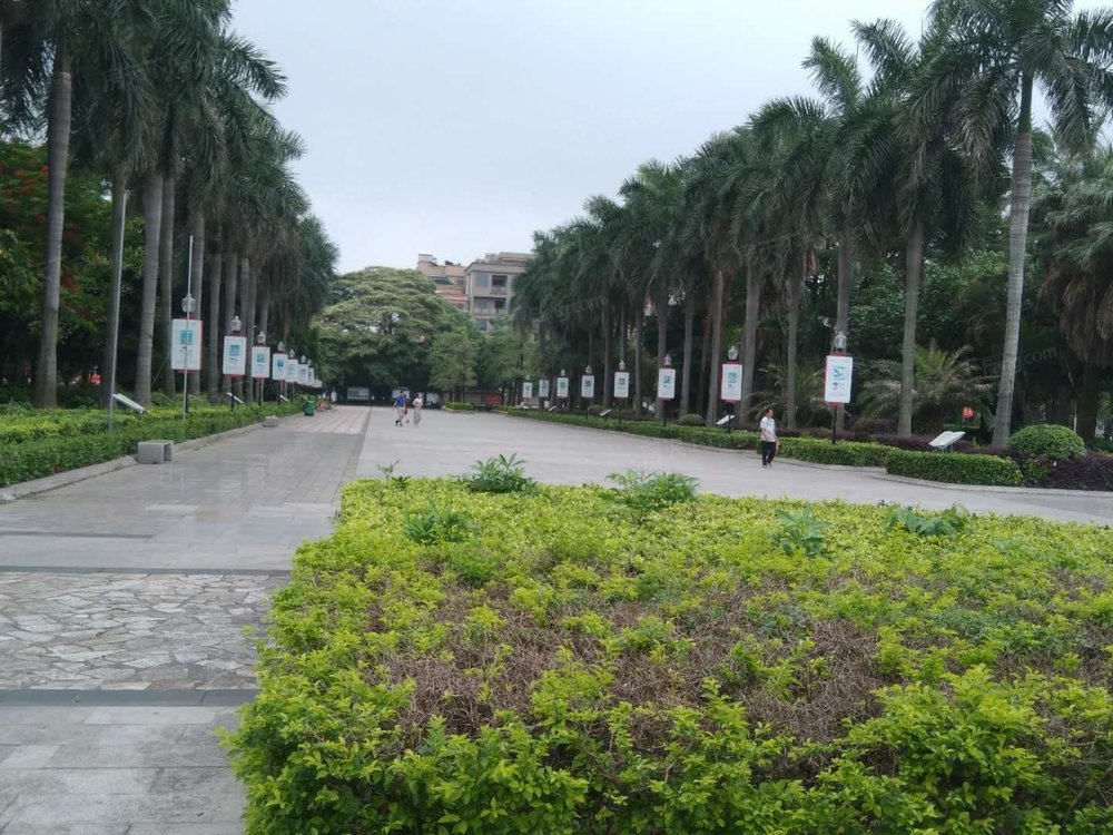 小区相关图