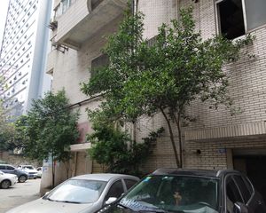 天府公寓3室1厅东南