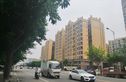 四季金悦实景图