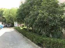 近地铁 无抵押,中间楼层 随时看房,新上房源