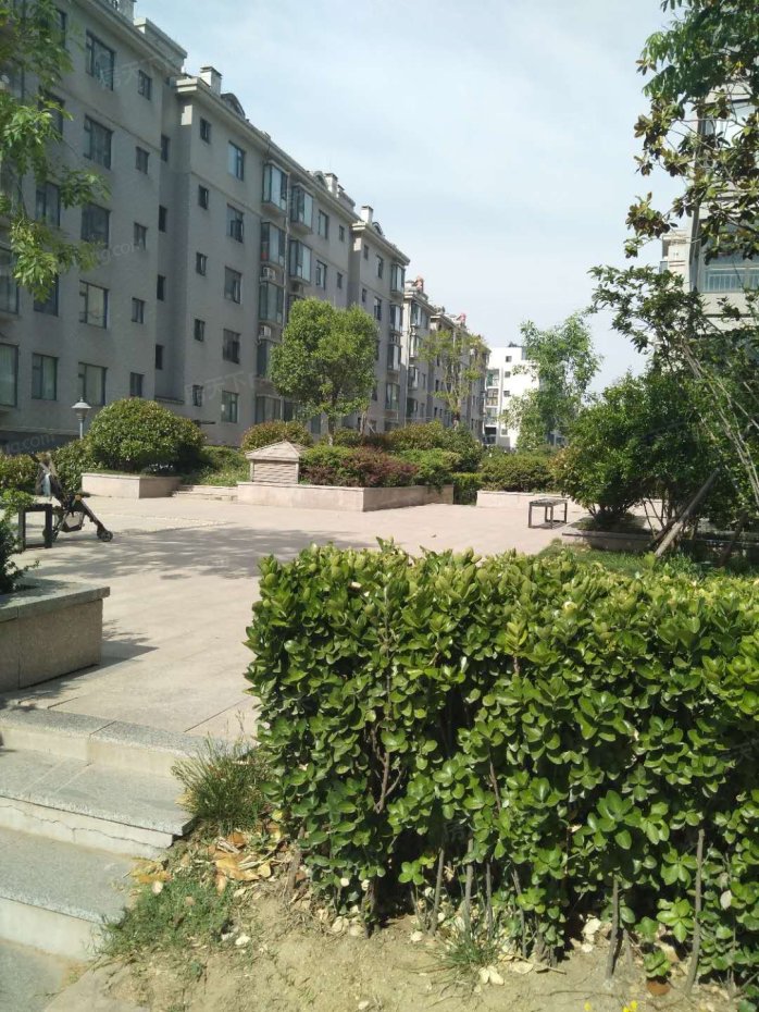 【日照上上城小区,二手房,租房】- 日照房天下