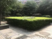 杨家坪 杨渡村二房