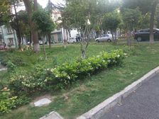 近地铁,交通方便,采光好,视野开阔,诚意出售