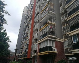 采光好户型格局方正,装修风格采光好户型格局方正
