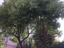 环境优美,交通便利,精装修,诚意出售