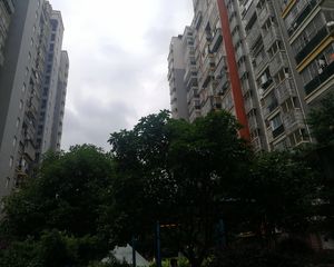 采光好户型格局方正,装修风格采光好户型格局方正
