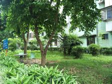 竹苑新村2室2厅南北