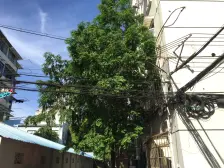 江湾 · 吴家湾路200弄 · 1室 · 1厅