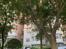 朝阳和平西苑南向高层正规一居室