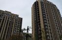 信达蓝庭福邸实景图