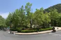 普罗旺斯三期实景图