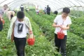 御溪公馆活动现场