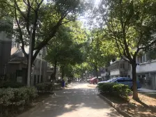 复式 纯毛坯 随心装修 高楼层 采光好