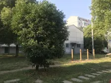 长江花园,户型通透,采光好,位置安静,价格好谈