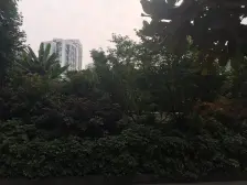 大石坝 大庆村综合小区一房46万