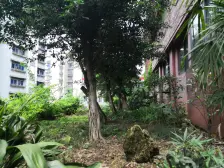 测绘院 2室1厅 东南