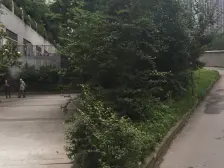 大石坝精装两房结构方正采光好户型通透装修新