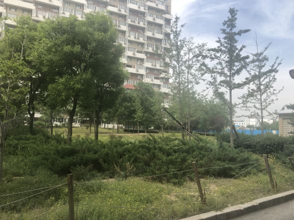 北街家园七区实景图