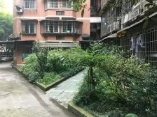 石桥铺 带私家花园20平 视野采光好 有架空层